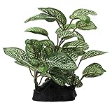 photo: You can buy Otimark 2 Piece Realistic Faux Silk Aquarium Ficus Tree Cool Small Betta Fish Tank Grass Fake Artificial Plants Plastic Decorations Ornament online, best price $15.99 new 2024-2023 bestseller, review
