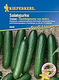 foto: jetzt Kiepenkerl 2648 Salatgurke Tristan F1, resistente selbstbefruchtende Midi-Gurke, für Gewächshaus und Freiland geeignet, Fruchtlänge ca. 22 cm Online, bester Preis 5,99 € neu 2024-2023 Bestseller, Rezension