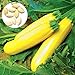 foto 50 semillas de calabacín amarillo unids/bolsa fácil de crecer deliciosas verduras mini jardín decorar su patio Semillas de calabacín 2024-2023