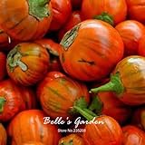 foto: comprar Naranja berenjena 20pcs turca Vegetable Seeds Inicio Plantas Bonsai Garden bricolaje on-line, mejor precio 14,98 € nuevo 2024-2023 éxito de ventas, revisión