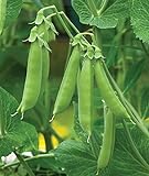 photo: You can buy Burpee Sugar Snap Pea Seeds 300 seeds online, best price $9.79 ($0.03 / Count) new 2024-2023 bestseller, review