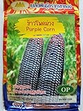 photo: You can buy Thai Purple Waxy Glutinous Corn Seeds online, best price $6.99 ($13.19 / Ounce) new 2024-2023 bestseller, review
