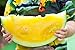 foto Gelb Wassermelone JANOSIK Samen - Wassermelone 2022-2021
