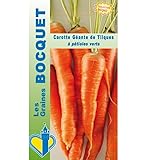 photo: acheter Sachet de graines de Carotte géante de Tilques - 2 g - légume racine - LES GRAINES BOCQUET en ligne, meilleur prix 5,49 € (2 745,00 € / kg) nouveau 2024-2023 best-seller, examen