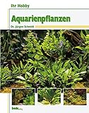 foto: jetzt Ihr Hobby: Aquarienpflanzen Online, bester Preis 10,90 € neu 2024-2023 Bestseller, Rezension