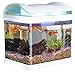 foto Sweetypet Aquarium: Transport-Fischbecken mit Filter, LED-Beleuchtung und USB, 3,3 Liter (Mini Aquarium) 2022-2021