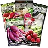 photo: You can buy Sow Right Seeds - Radish Seed Collection for Planting - Champion, Watermelon, French Breakfast, China Rose, and Minowase (Diakon) Varieties - Non-GMO Heirloom Seed to Plant a Home Vegetable Garden online, best price $10.99 new 2024-2023 bestseller, review