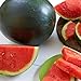 photo Watermelon, Black Diamond, Heirloom, 50 Seeds, Super Sweet Round Melon 2022-2021