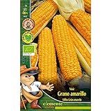 foto: comprar Semillas ecológicas de Maiz Grano Amarillo on-line, mejor precio 4,42 € nuevo 2024-2023 éxito de ventas, revisión