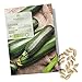 foto BIO Zucchini Samen (Nero di Milano) - Zucchini Saatgut aus biologischem Anbau ideal für die Anzucht im Garten, Balkon oder Terrasse 2024-2023
