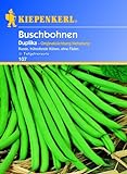 foto: jetzt Kiepenkerl Buschbohnen 'Duplika',1 Portion Online, bester Preis 3,21 € neu 2024-2023 Bestseller, Rezension