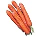 photo Burpee Nantes Half Long Carrot Seeds 3000 seeds 2024-2023