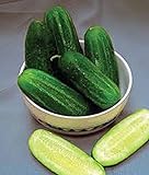 photo: You can buy Cucumber, National Pickling Cucumber Seed, Heirloom,25 Seeds, Great for Pickling online, best price $1.99 ($0.08 / Count) new 2024-2023 bestseller, review