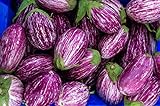 photo: You can buy Fairy Tale F1 Eggplant Seeds - Non-GMO - 10 Seeds online, best price $6.99 new 2024-2023 bestseller, review