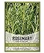 photo Rosemary Seeds for Planting - It is A Great Heirloom, Non-GMO Herb Variety- Great for Indoor and Outdoor Gardening by Gardeners Basics 2024-2023