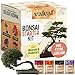foto valeaf Bonsai Starter Kit - SUMMER SALE - Züchten Sie Ihren eigenen Bonsai Baum - Anzuchtset inkl. 4 Sorten Bonsai Samen & Zubehör - für Anfänger - das ideale Geschenk zum Baum pflanzen 2024-2023