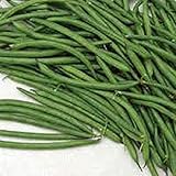 photo: You can buy Burpee Stringless Green Bush Bean - 25 Count Seed Pack - Non-GMO - A Culinary Star, pods are Delicious in Many Foods. - Country Creek LLC online, best price $1.99 new 2024-2023 bestseller, review