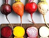 photo: You can buy Rainbow Mix Heirloom Beet Seeds Gold, White, Red and Chioggia! bin316 (180+ Seeds, or 1/8 oz) online, best price $4.39 new 2024-2023 bestseller, review