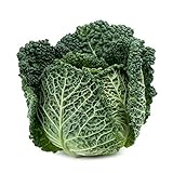 photo: You can buy Savoy Perfection Cabbage Seeds - 50 Count Seed Pack - Non-GMO - A Unique Hardy Crop with a Sweet and Delicate Flavor That Makes an Excellent Addition to Many Dishes. - Country Creek LLC online, best price $2.29 ($0.05 / Count) new 2024-2023 bestseller, review