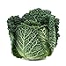 photo Savoy Perfection Cabbage Seeds - 50 Count Seed Pack - Non-GMO - A Unique Hardy Crop with a Sweet and Delicate Flavor That Makes an Excellent Addition to Many Dishes. - Country Creek LLC 2024-2023