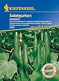foto: jetzt Salatgurke Dominica F1, reinweibliche F1-Hybride Spitzenerträge mit schönen langen Früchten kernlos bitterfrei Online, bester Preis 5,39 € (5,39 € / Stück) neu 2024-2023 Bestseller, Rezension
