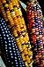 photo NIKA SEEDS - Vegetable Corn Montana Mix Heirloom for Salads - 50 Seeds 2024-2023