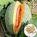 foto Semillas de melón cantaloupe, 1 bolsa de semillas dulce germen jugoso semillas de frutas naturales de la huerta 2024-2023