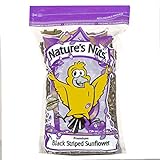 photo: You can buy Nature's Nuts Premium Black Striped Sunflower Seed - 16 lb. online, best price $42.56 new 2024-2023 bestseller, review