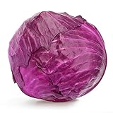 photo: You can buy Red Acre Cabbage Seeds, 250 Heirloom Seeds Per Packet, Non GMO Seeds, Botanical Name: Brassica oleracea VAR. capitata f. rubra, Isla's Garden Seeds online, best price $5.25 ($0.02 / Count) new 2024-2023 bestseller, review