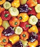 photo: You can buy Burpee Carnival Mix Sweet Pepper Seeds 100 seeds online, best price $8.01 new 2024-2023 bestseller, review