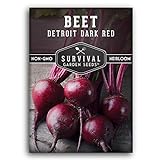 photo: You can buy Survival Garden Seeds - Detroit Dark Red Beet Seed for Planting - Packet with Instructions to Plant and Grow Delicious Root Vegetables in Your Home Vegetable Garden - Non-GMO Heirloom Variety online, best price $4.99 new 2024-2023 bestseller, review
