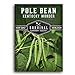 photo Survival Garden Seeds - Kentucky Wonder Pole Bean Seed for Planting - Packet with Instructions to Plant and Grow Delicious Snap Beans in Your Home Vegetable Garden - Non-GMO Heirloom Variety 2024-2023