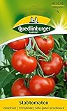 foto: jetzt Tomatensamen - Tomate Harzfeuer F1 von Quedlinburger Saatgut Online, bester Preis 2,81 € neu 2024-2023 Bestseller, Rezension
