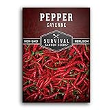 photo: You can buy Survival Garden Seeds - Red Cayenne Pepper Seed for Planting - Packet with Instructions to Plant and Grow Hot Chili Peppers in Your Home Vegetable Garden - Non-GMO Heirloom Variety - Single Pack online, best price $4.99 new 2024-2023 bestseller, review