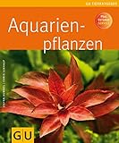 foto: jetzt Aquarienpflanzen Online, bester Preis 9,99 € neu 2024-2023 Bestseller, Rezension