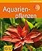 foto Aquarienpflanzen 2024-2023