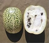 photo: You can buy 10 Seeds Shark fin Melon chilacayote fig leaved Malabar Gourd Heirloom Very Rare online, best price $8.99 ($0.90 / Count) new 2024-2023 bestseller, review