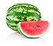 photo Crimson Sweet Watermelon Seeds for Planting - Large 200 Count Premium Heirloom Seeds Packet! 2024-2023