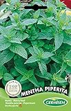 foto: comprar Germisem Mentha Piperita Semillas de Menta 0.2 g on-line, mejor precio 2,21 € nuevo 2024-2023 éxito de ventas, revisión
