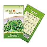 foto: jetzt Salatrauke Einjährig Samen - Eruca sativa - Salatraukesamen - Gemüsesamen - Saatgut für 200 Pflanzen Online, bester Preis 1,99 € (0,01 € / stück) neu 2024-2023 Bestseller, Rezension