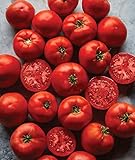 photo: You can buy Burpee Big Boy' Hybrid Large Slicing Red Tomato Rich Flavor, 50 seeds online, best price $8.63 ($0.17 / Count) new 2024-2023 bestseller, review