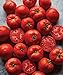 photo Burpee Big Boy' Hybrid Large Slicing Red Tomato Rich Flavor, 50 seeds 2023-2022