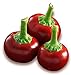 foto Hot Chili Pfeffer Cherry Rot - Pepper - 20 Samen 2024-2023