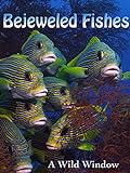photo: You can buy Bejeweled Fishes online, best price $2.99 new 2024-2023 bestseller, review