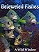 photo Bejeweled Fishes 2024-2023
