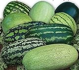 photo: You can buy CEMEHA SEEDS - Watermelon Alibaba Giant Mix Non GMO Fruits for Planting online, best price $6.95 ($0.23 / Count) new 2024-2023 bestseller, review