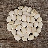 photo: You can buy Henderson's Bush Lima Bean - 50 Seeds - Heirloom & Open-Pollinated Variety, USA-Grown, Non-GMO Vegetable/Dry Bean Seeds for Planting Outdoors in The Home Garden, Thresh Seed Company online, best price $7.99 new 2024-2023 bestseller, review