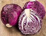 photo: You can buy NIKA SEEDS - Vegetable Cabbage Purple - 150 Seeds online, best price $6.95 ($0.05 / Count) new 2024-2023 bestseller, review