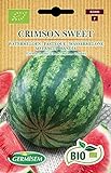 foto: jetzt Germisem Wassermelone CRIMSON SWEET, ECBIO5006 Online, bester Preis 3,99 € neu 2024-2023 Bestseller, Rezension