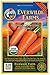 photo Everwilde Farms - 1000 Organic Chantenay Red Cored Carrot Seeds - Gold Vault Packet 2024-2023